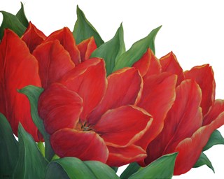 Tulpen 17 100 x 80  